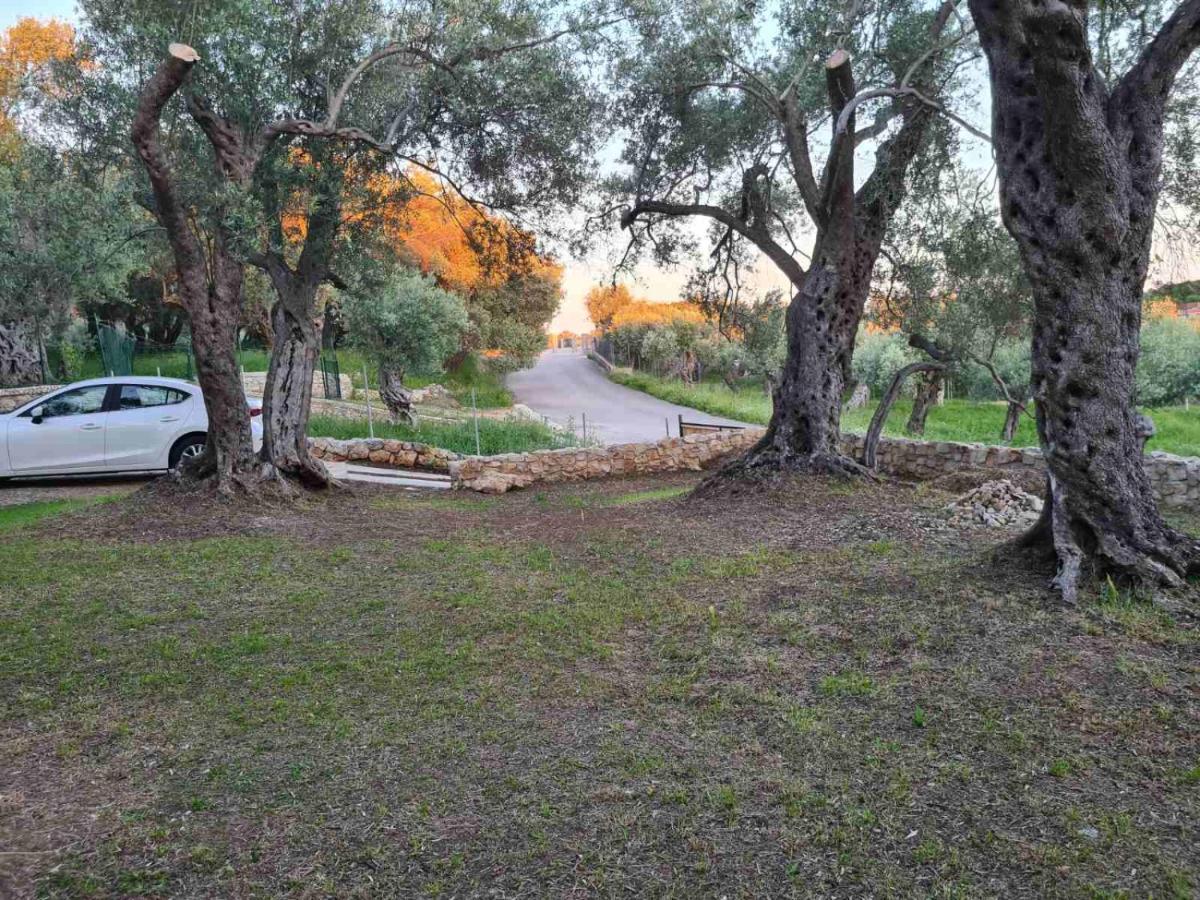 Olea Cottage Ulcinj Exterior foto